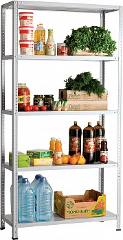 Стеллаж металлический Практик MS Standart 255/100х30/5